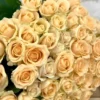 10 roses couleur saumon - Avalanche Peach 10 roses couleur saumon - Avalanche Peach