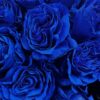 20 roses bleues-2