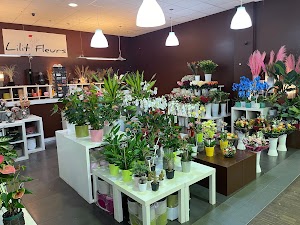 Lilit Fleurs place picture