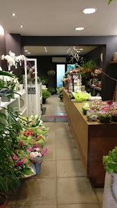 Lotus Flower Art place picture