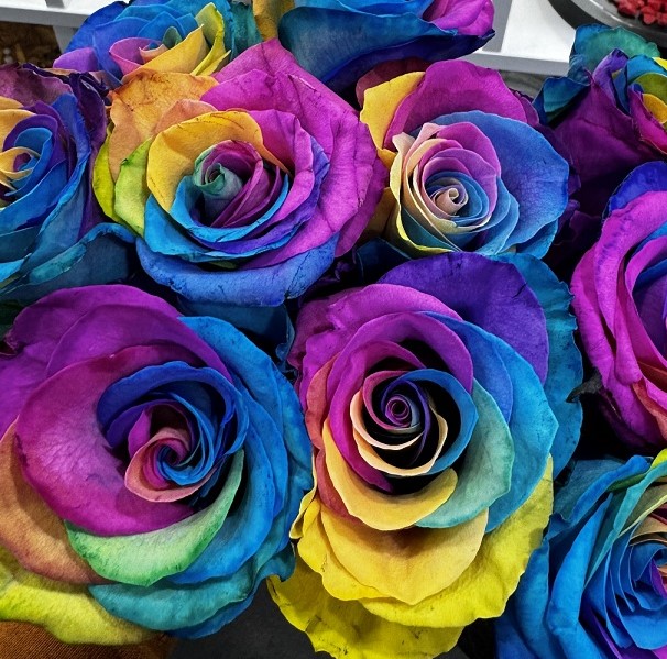 Roses arc-en-ciel
